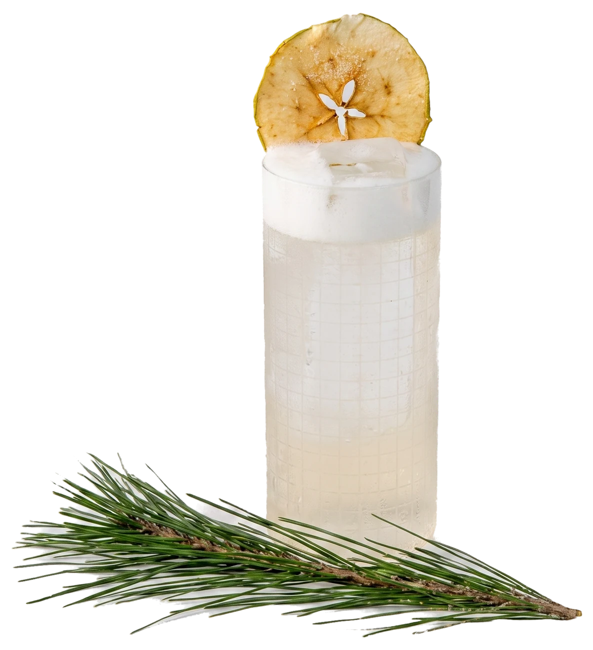 Green Jar's Apple Fizz in a highball, garnished with a dried apple slice and a pine sprig.